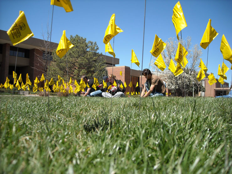 CMU Students place commemorative flags on lawn. 